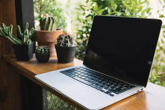 Bisnismu Belum Terdengar? Asisten Digital Gak Akan Sebut Brand yang Gak Punya Website