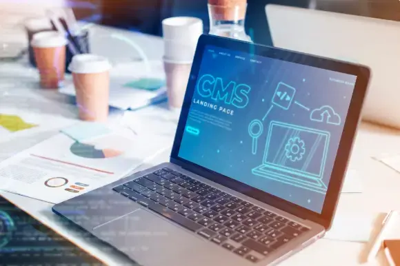 Jasa Pembuatan Website Terjangkau di Bintan – Bangun Citra Bisnis Online Anda