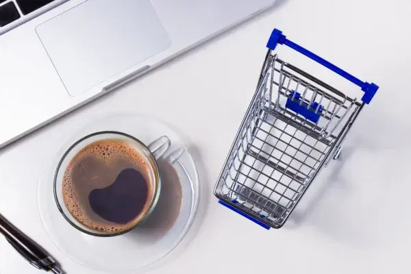 Layanan pembuatan website dengan desain modern 